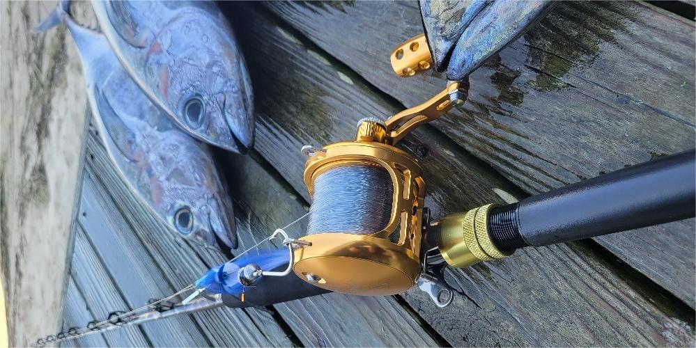 High-Quality Saltwater Trolling Reel RA600D for Ultimate Fishing
