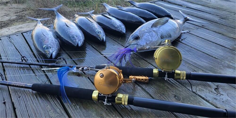 Daiwa Rods (Saltwater) - Big Catch Fishing Tackle