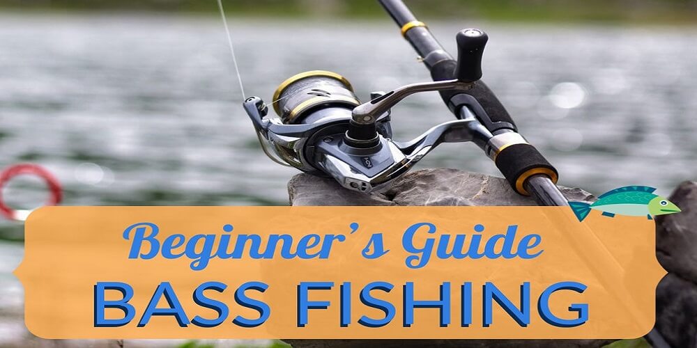 Lure fishing for Bass beginners guide Part 1 