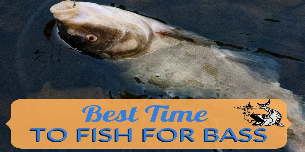 Best Time to Fish for Bass - Gomexus
