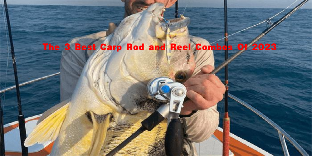 FULL CARP FISHING SET UP 2 X RODS + 2 X REELS + ROD POD