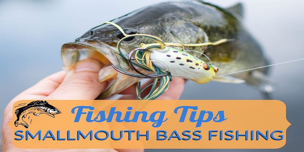 Smallmouth Bass Fishing Tips