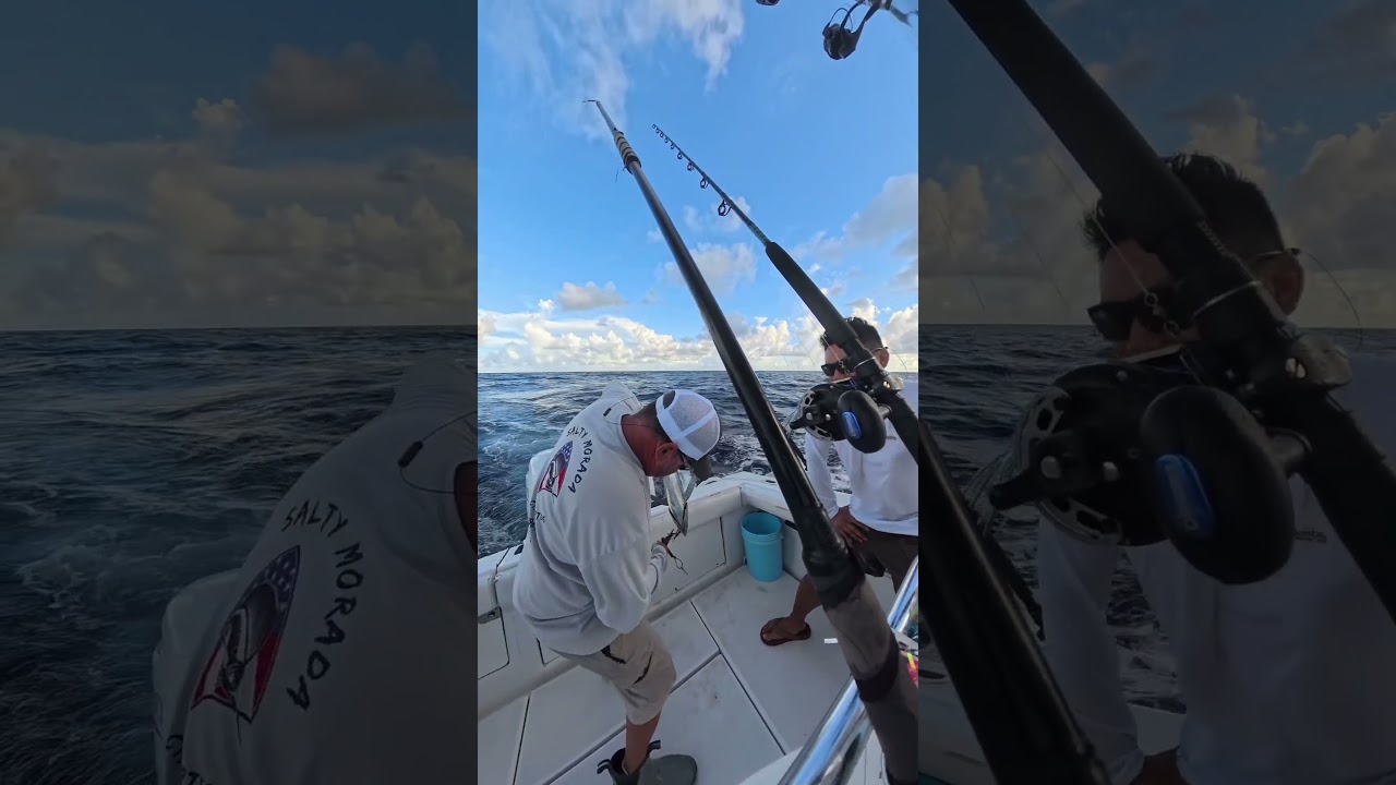 From Calm Seas to Big Catches | Ocean Fishing Adventure