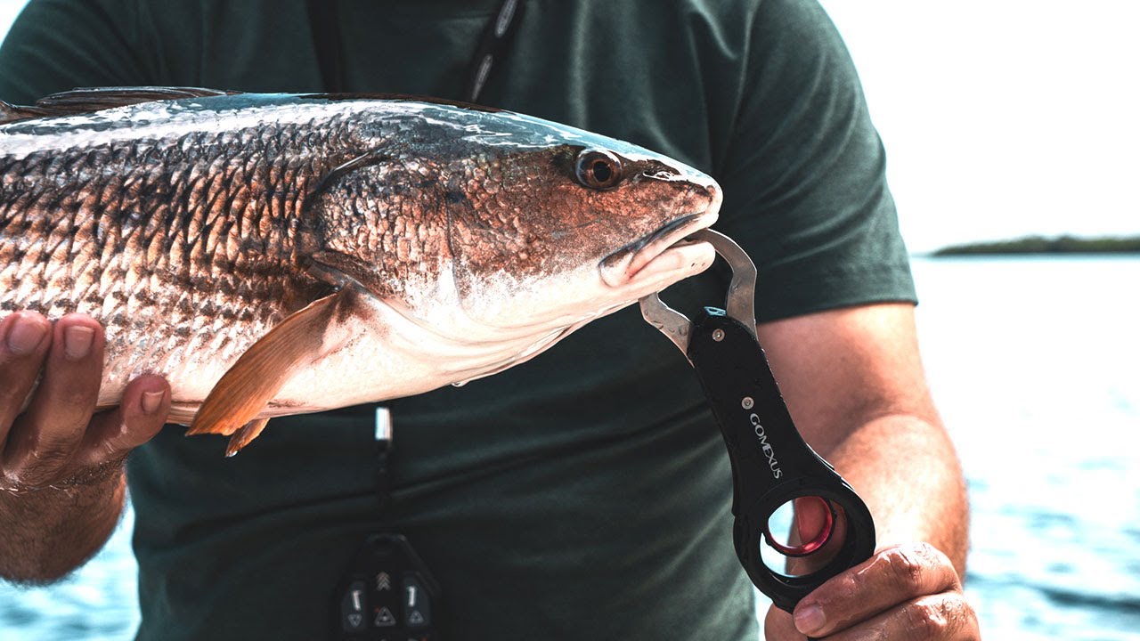 The Ultimate Fish Grip? First Look at Gomexus Fish Grips!