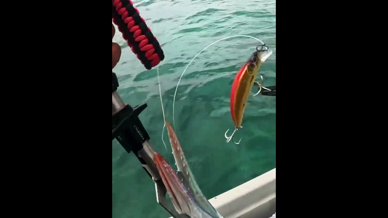 Freshwater or saltwater, be ready for every catch. 🎣