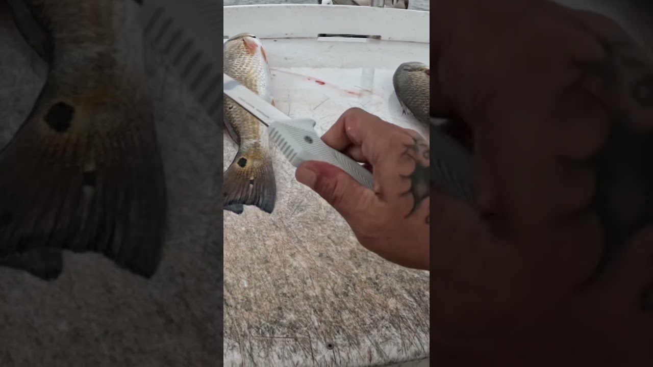 best fish fillet knife