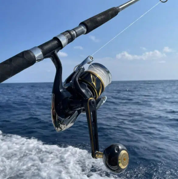 Image #1 from Hitchama