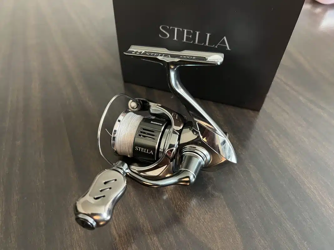 Image #1 from Gabriel Silva