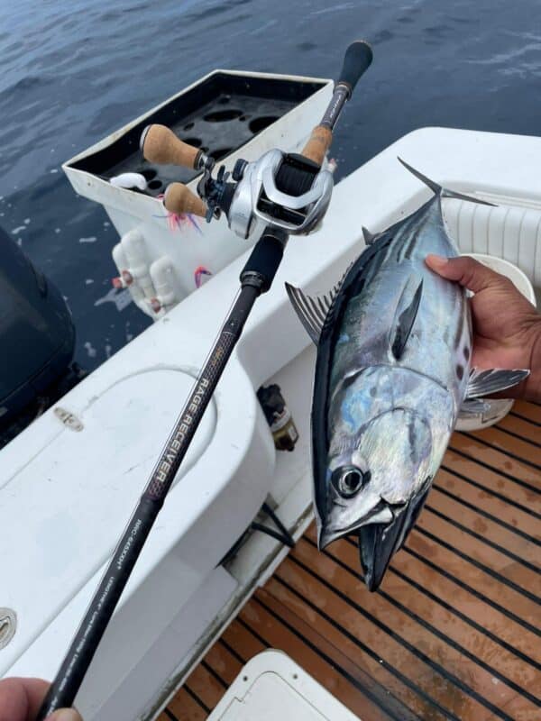 Image #1 from Richard