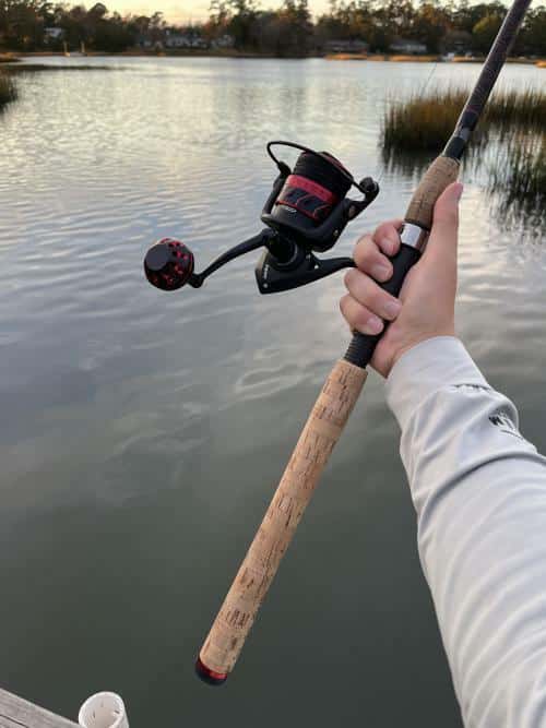 Image #1 from juliroy