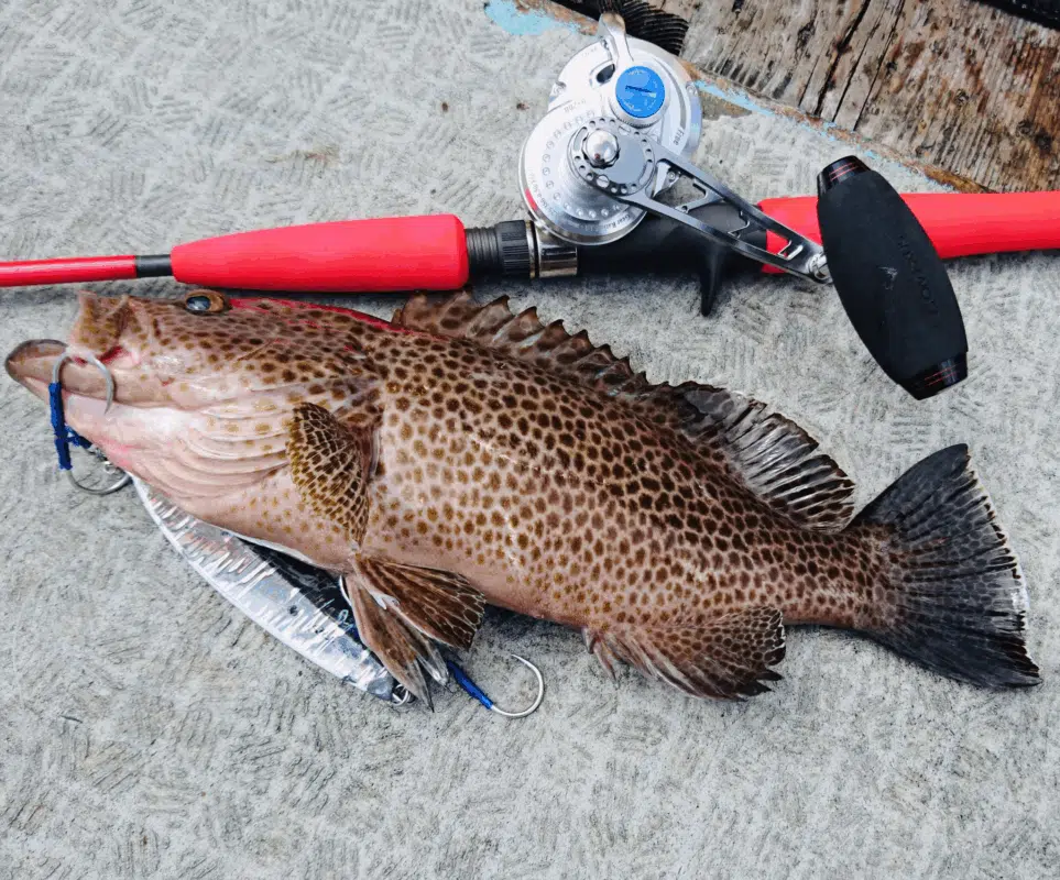 Image #1 from Rafael