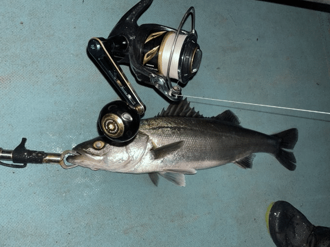 Image #1 from FOTOGUY