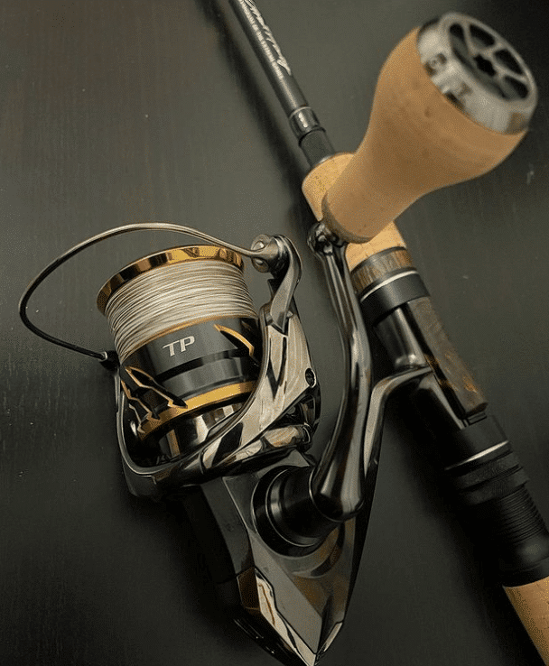 Image #1 from FOTOGUY