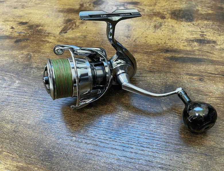 Image #1 from Tuam Lis