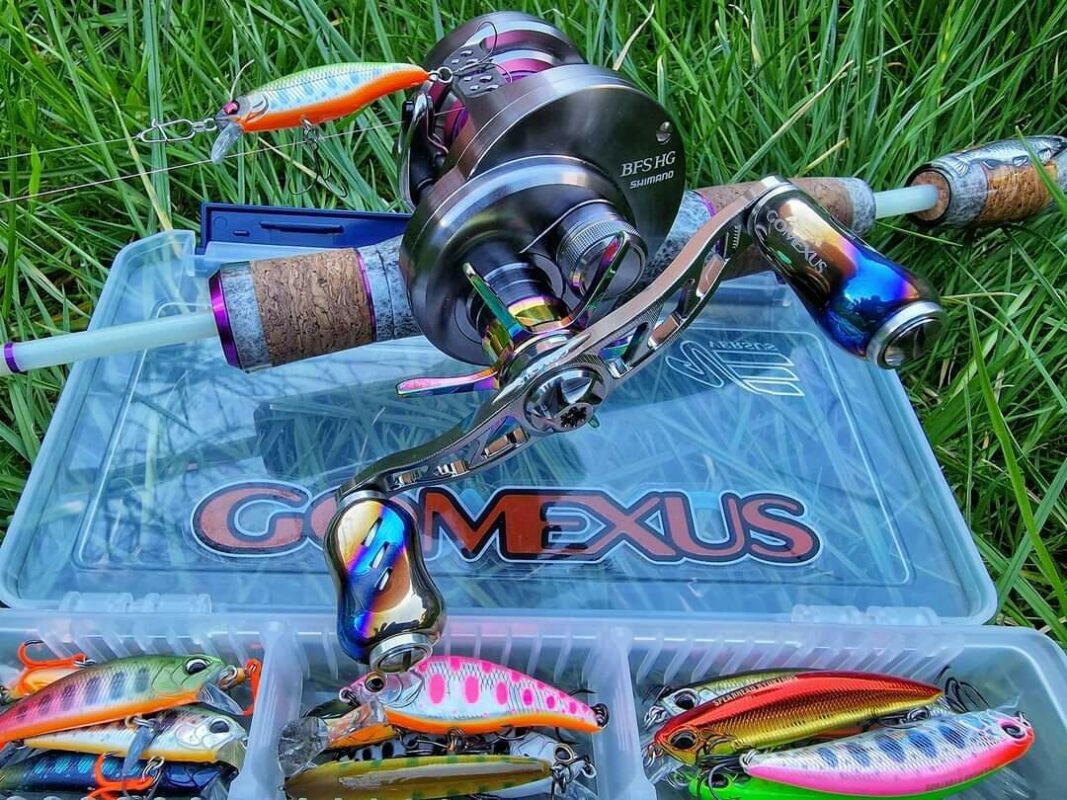 Image #1 from Gheorghe Florea