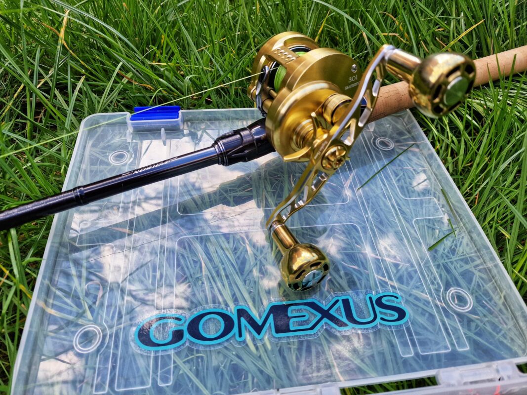 Image #1 from Gheorghe Florea