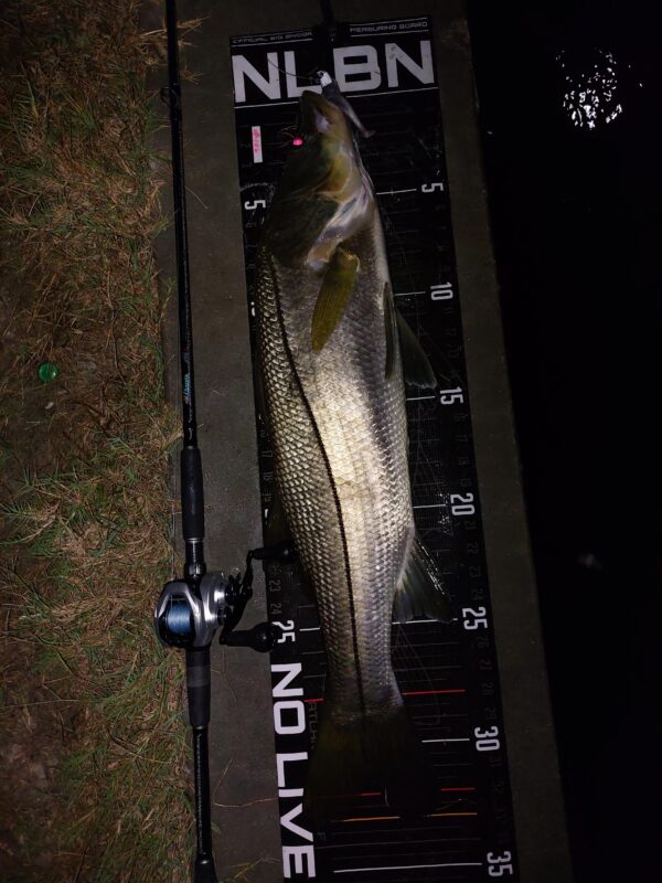 Image #4 from Vince Capuano