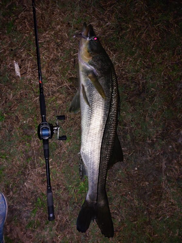 Image #2 from Vince Capuano