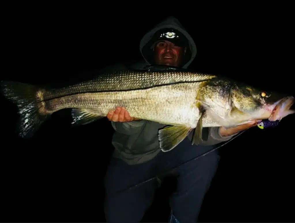 Image #5 from Vince Capuano