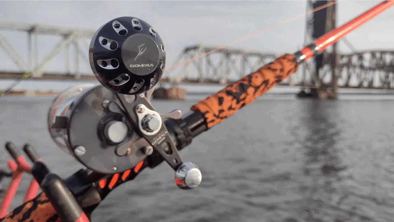 Image #1 from Tracy Scott