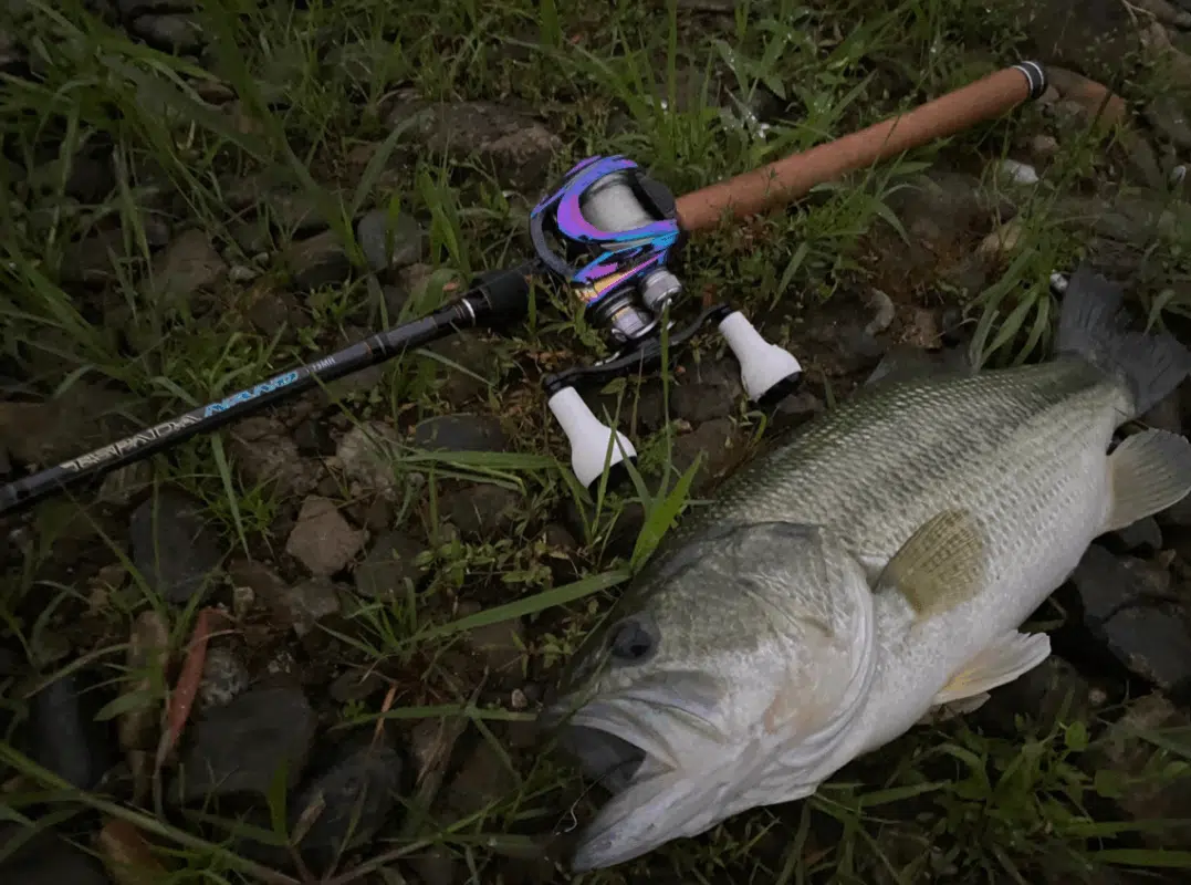 Image #1 from Chris N