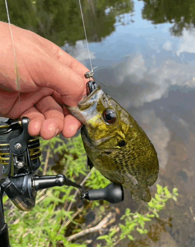 Image #1 from Tracy Scott