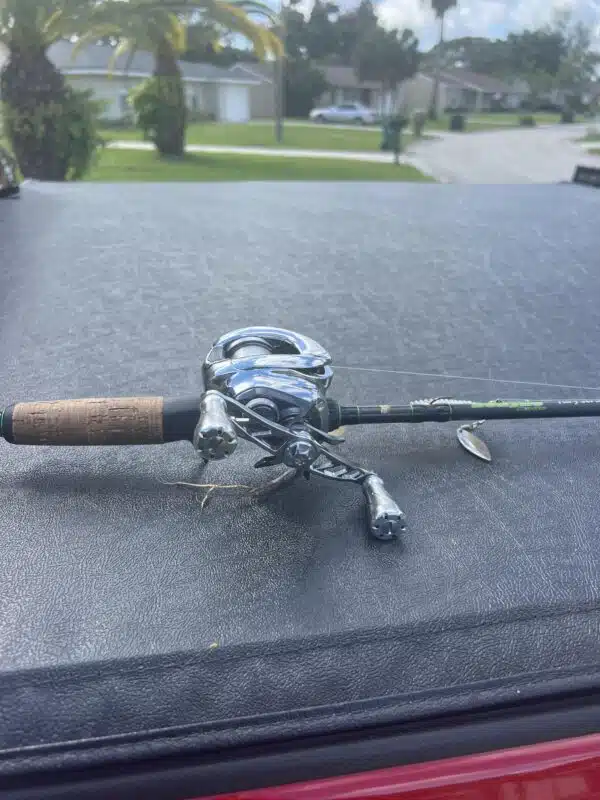 Image #1 from David Loman