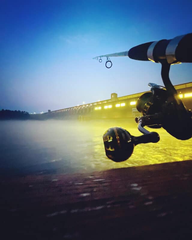 Image #1 from Laura Owen