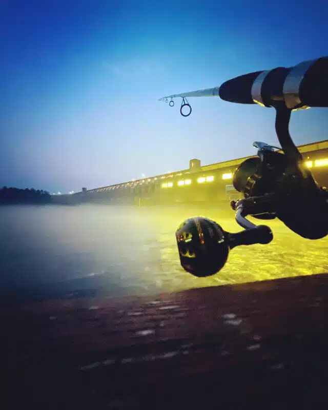 Image #1 from Laura Owen