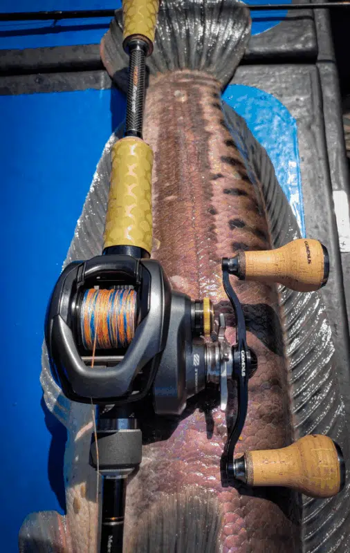 Image #1 from Rick Bailey