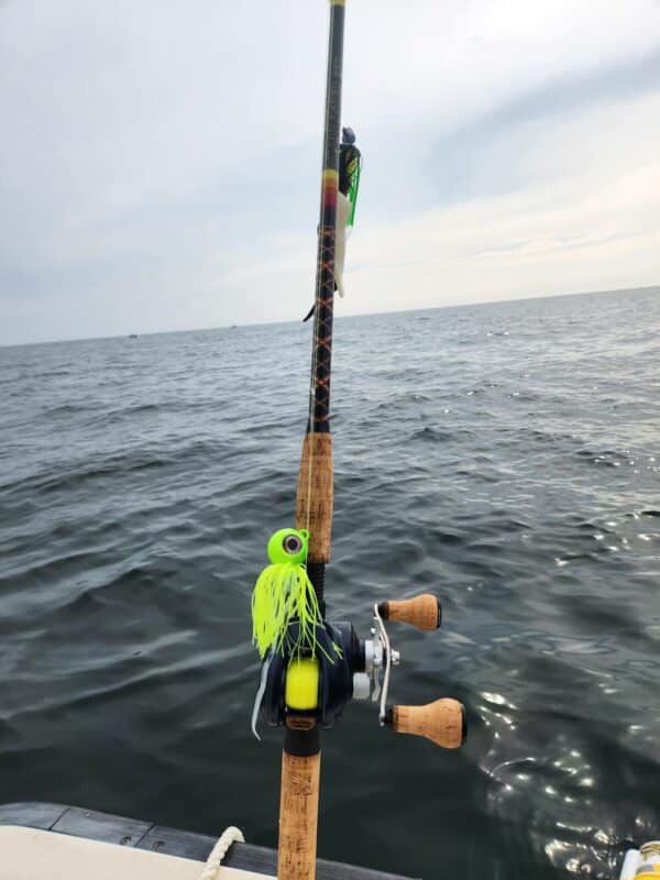 Image #1 from Mark Halpin