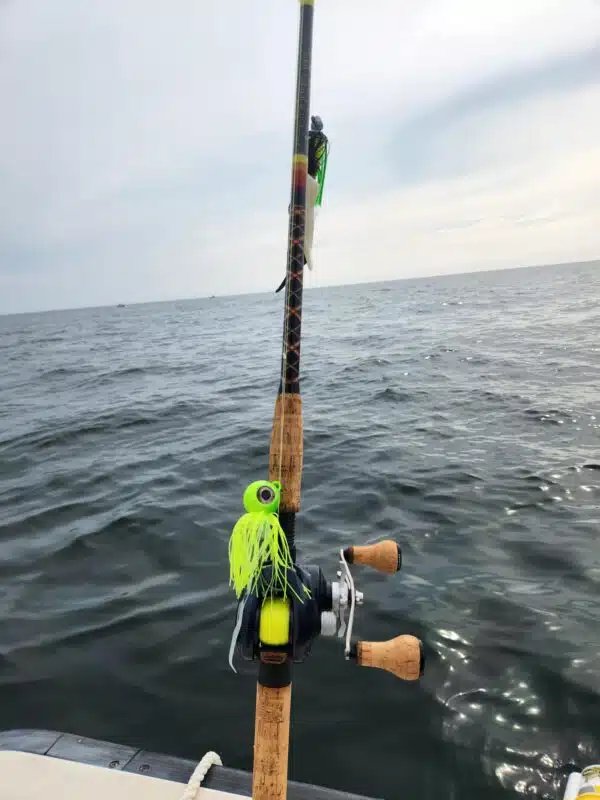 Image #1 from Mark Halpin