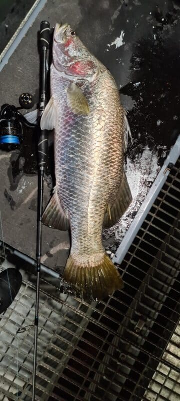 Image #1 from Dylan Garlando