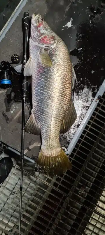 Image #1 from Dylan Garlando