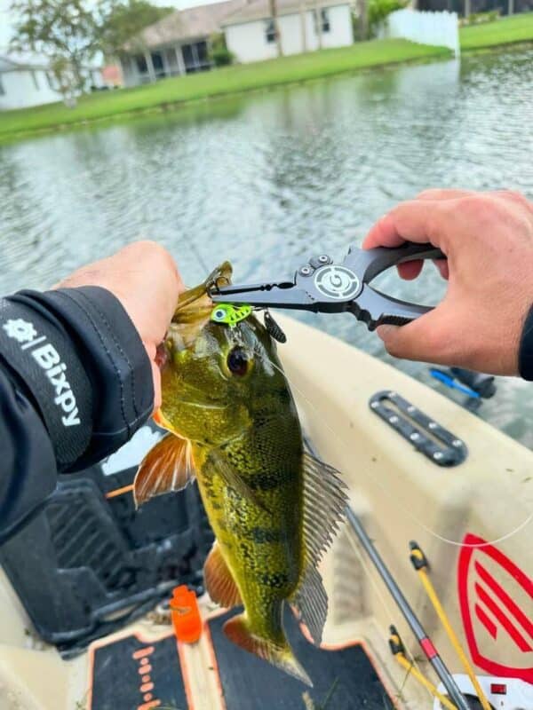 Image #2 from nighttrain