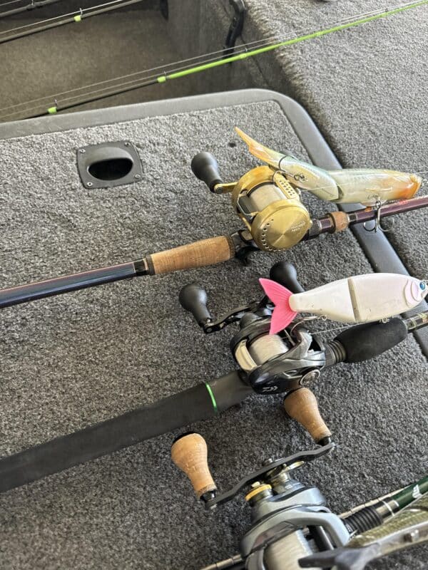 Image #3 from William Fernandez