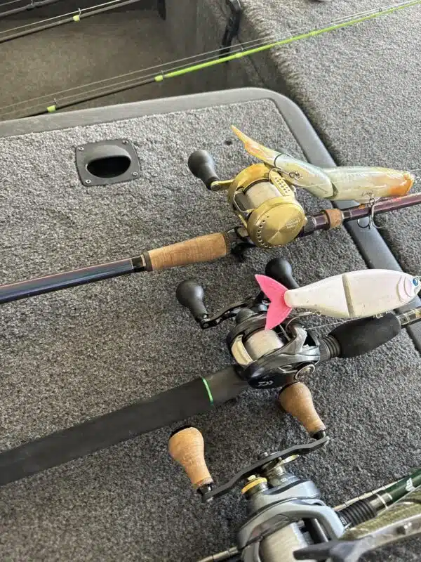 Image #3 from William Fernandez