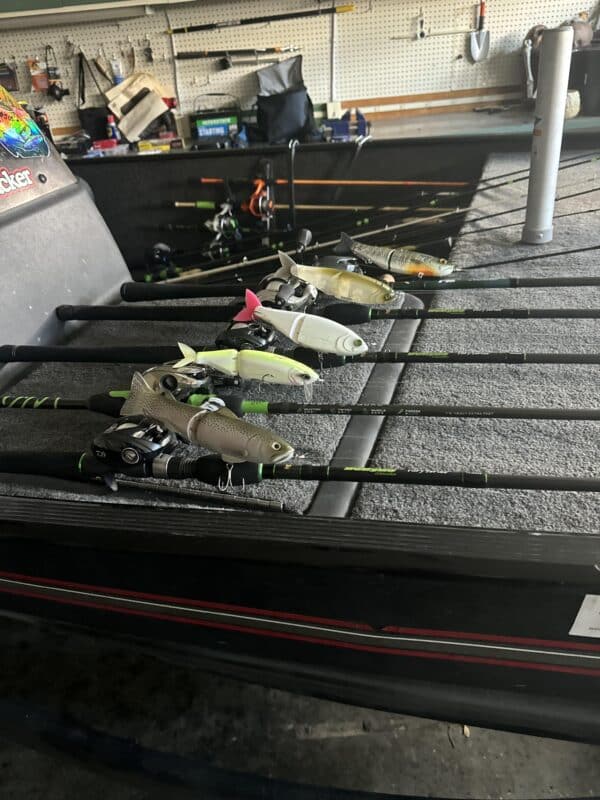 Image #4 from William Fernandez