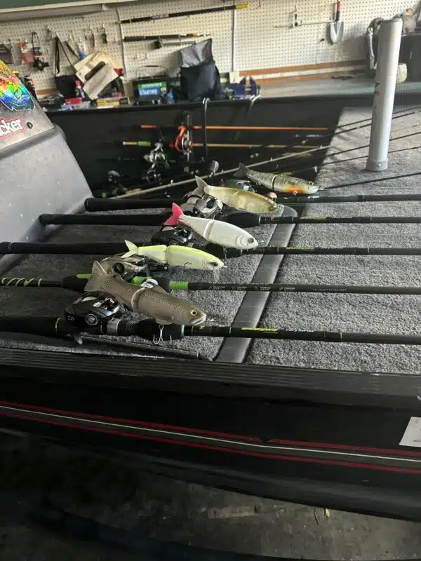 Image #4 from William Fernandez