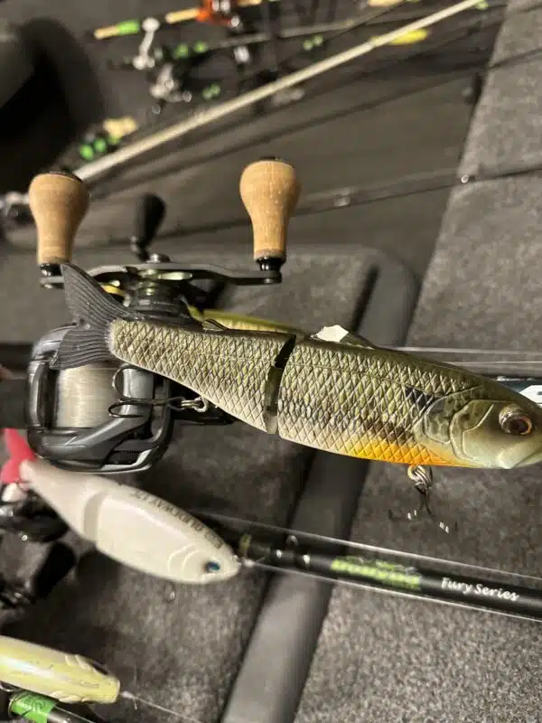 Image #5 from William Fernandez