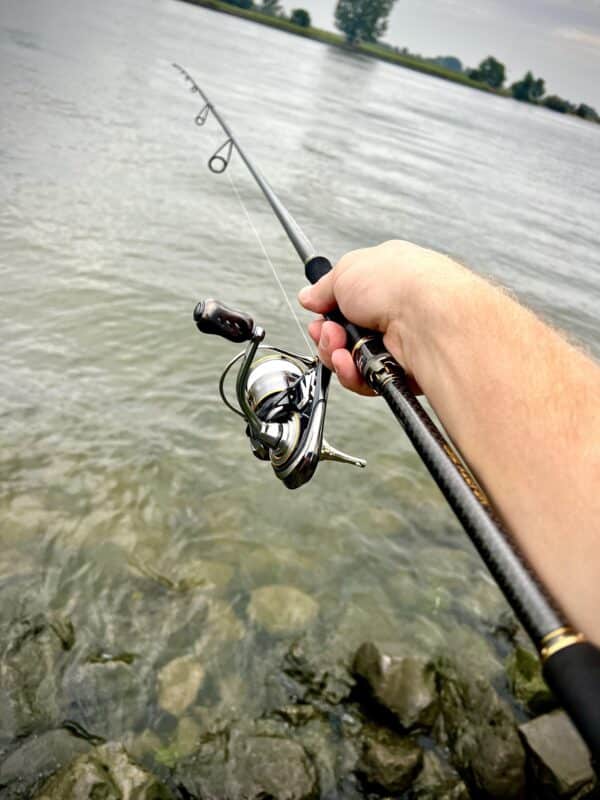 Image #1 from Sascha