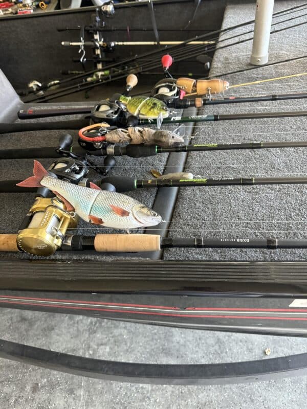 Image #1 from William Fernandez