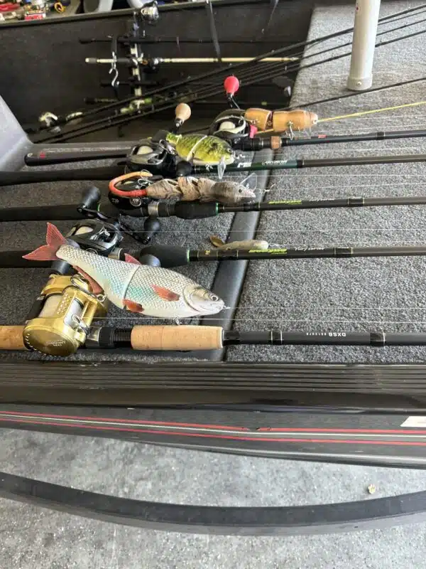 Image #1 from William Fernandez