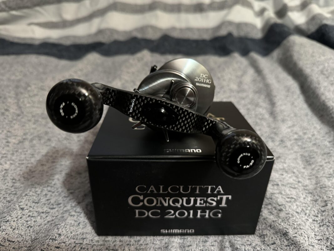 Image #3 from Sarai You