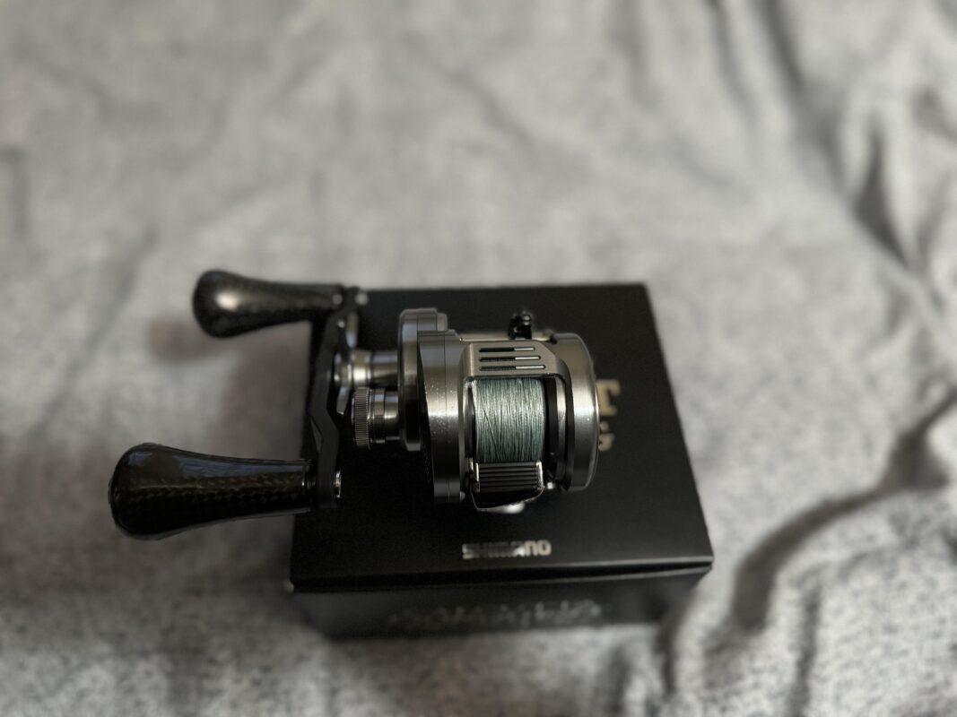 Image #1 from Sarai You