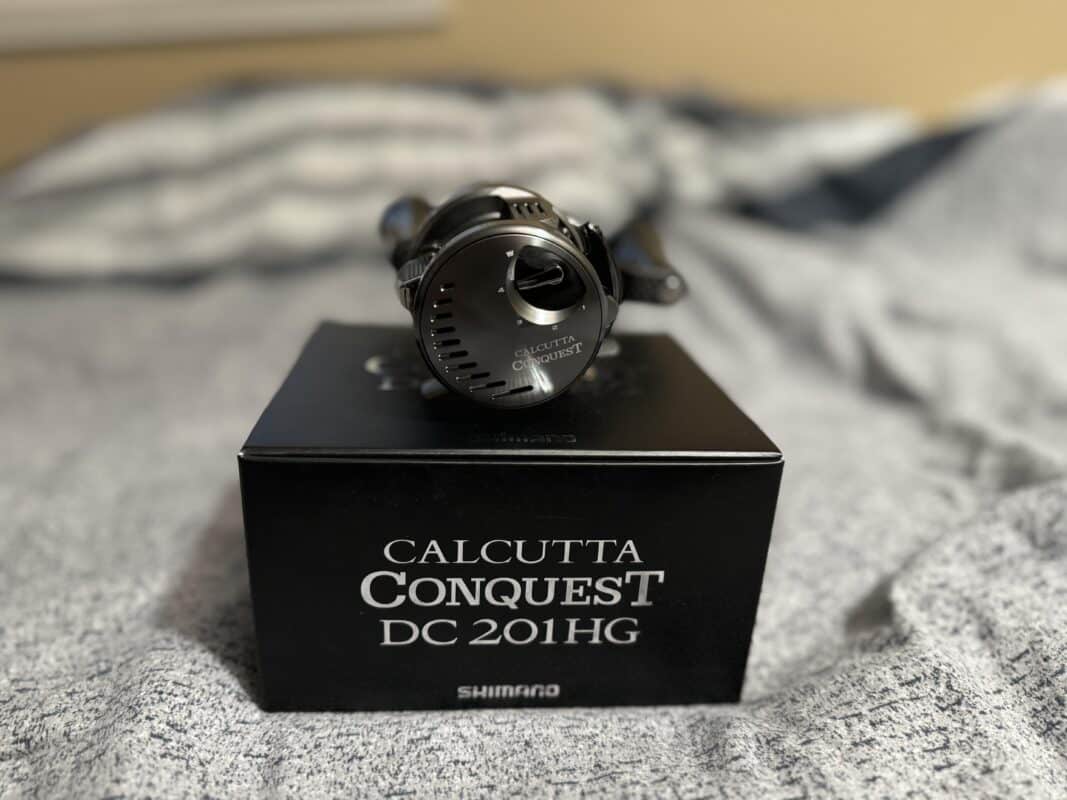 Image #4 from Sarai You