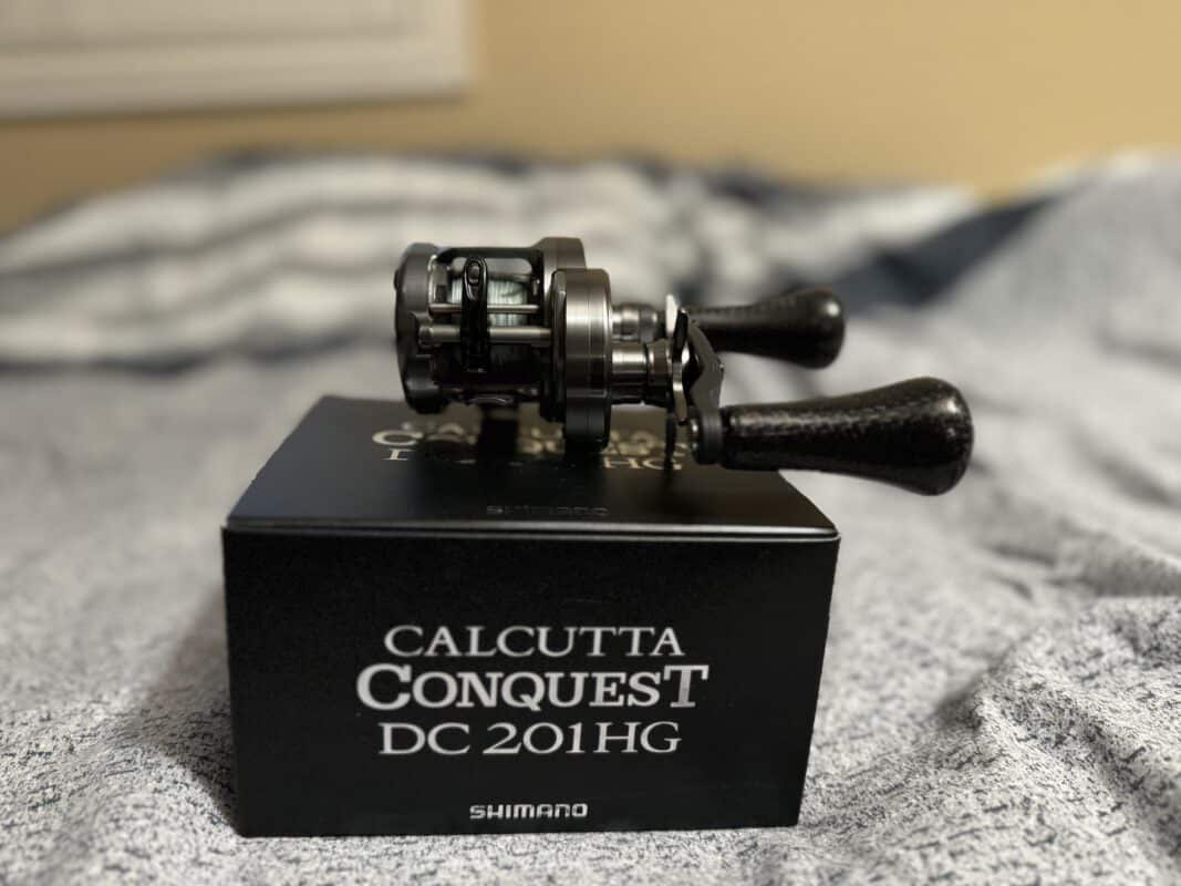 Image #2 from Sarai You