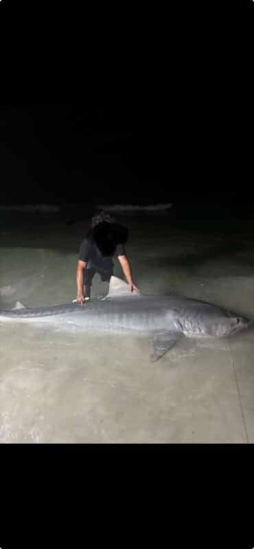 Image #1 from Fernando Gonzalez