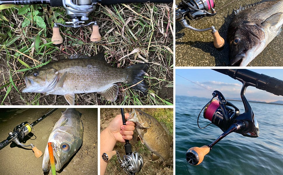 Gomexus Cork Reel Power Knob 27mm CA27 3 cork knob