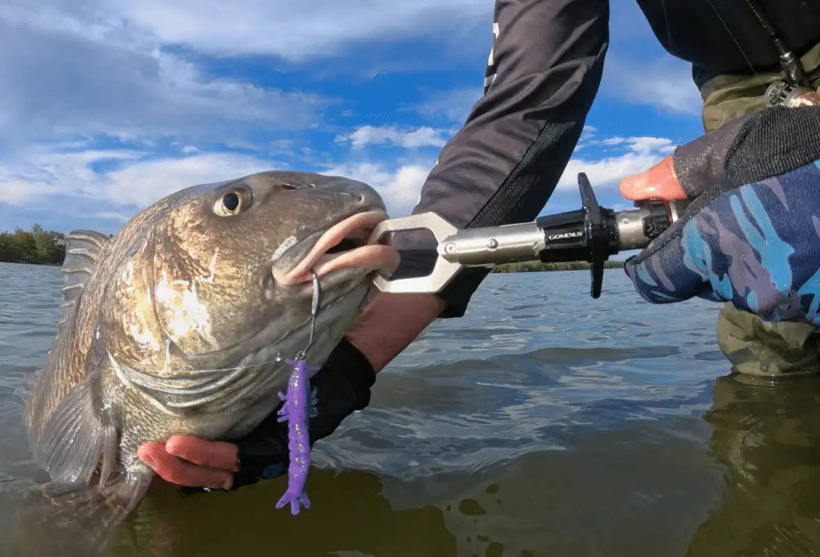 2026 Best Fish Lip Gripper Option for Safe Catch and Release 2 Poor Fish Trapped by Fish Lip Gripper